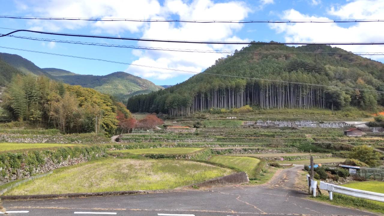 「やまだの里」石垣の棚田