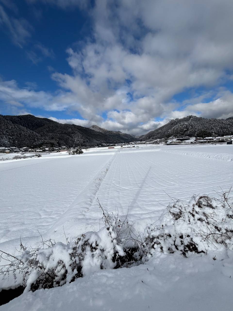 雪のある生活(^^)/